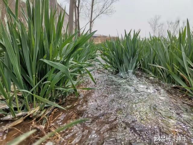 假期最不能做的5件事別忘了告訴家人AG真人旗艦廳不是迷信！端午三天(圖4)